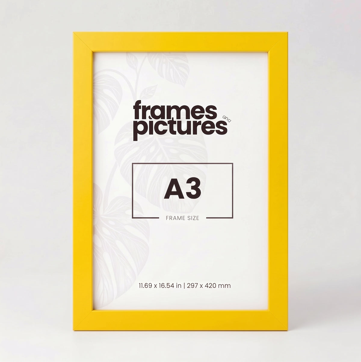A3 Colourful Frame