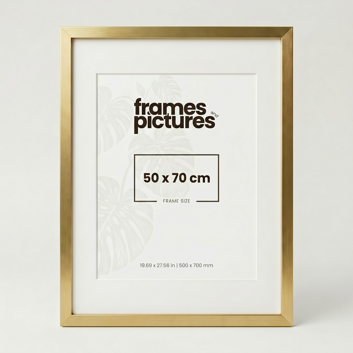 50x70 Frame With Aperture