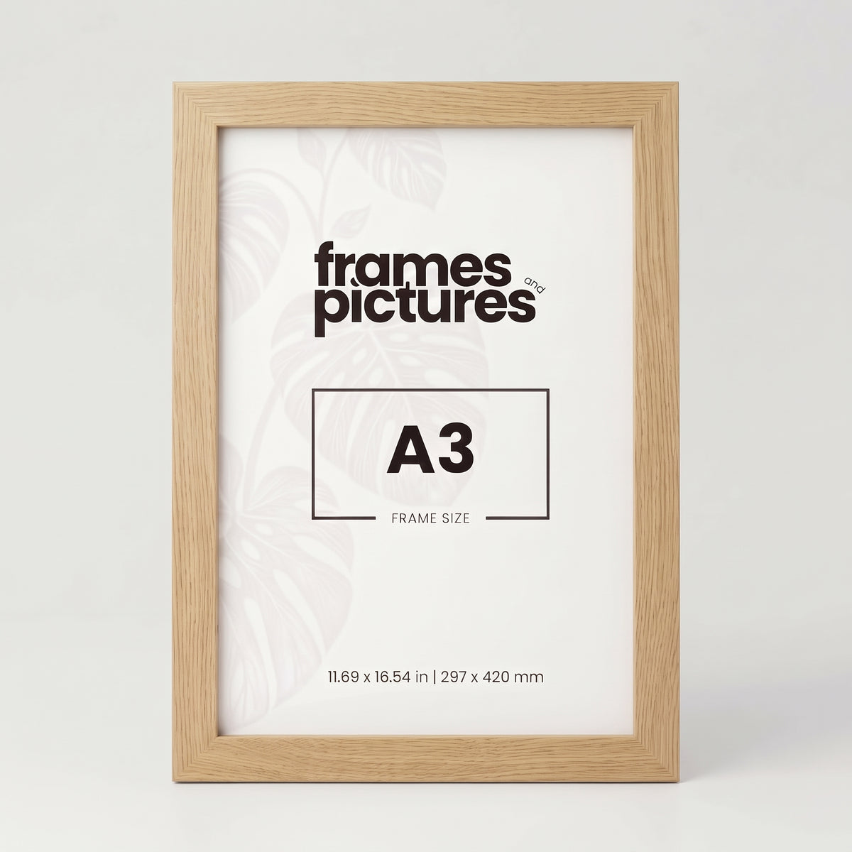 A3 Frame