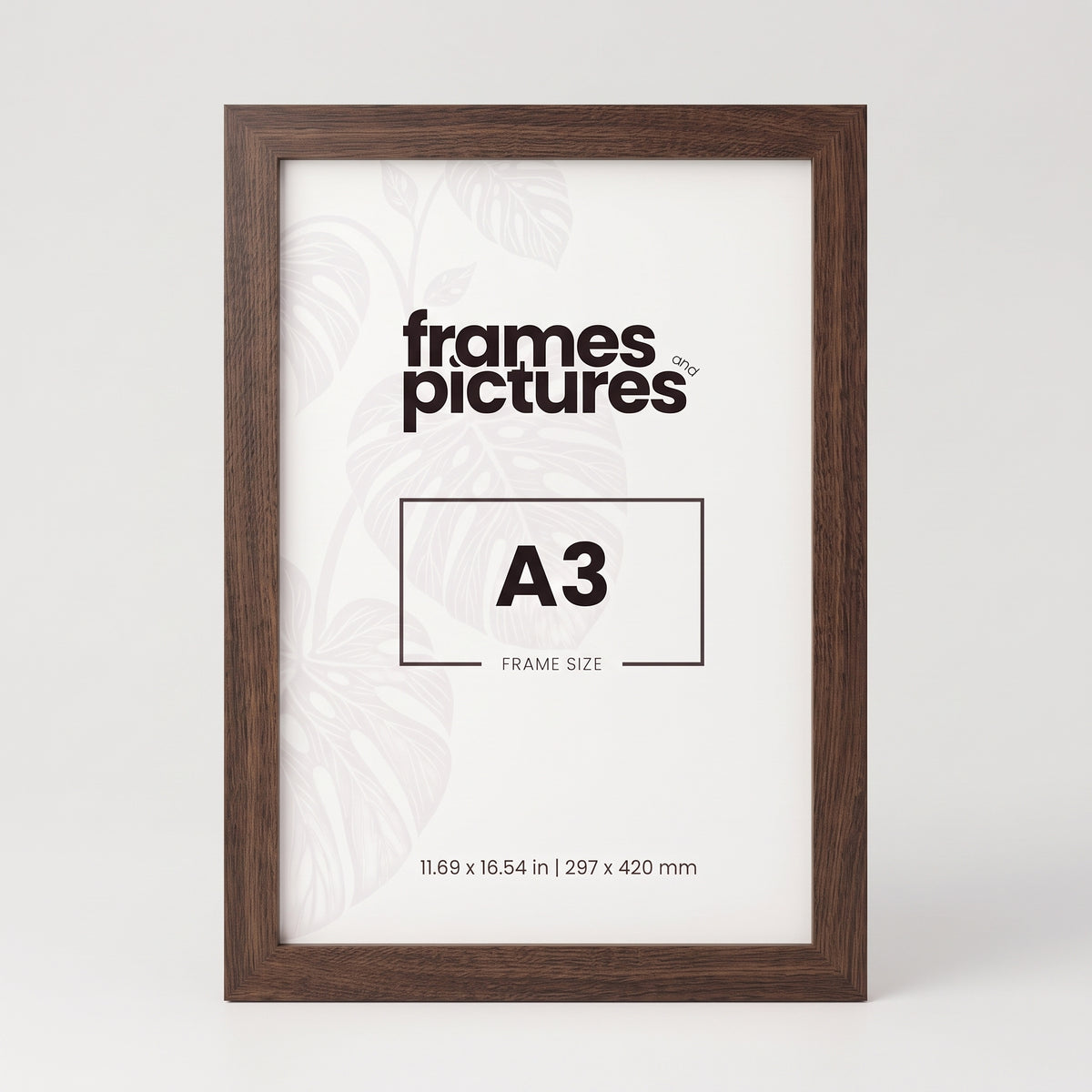A3 Frame