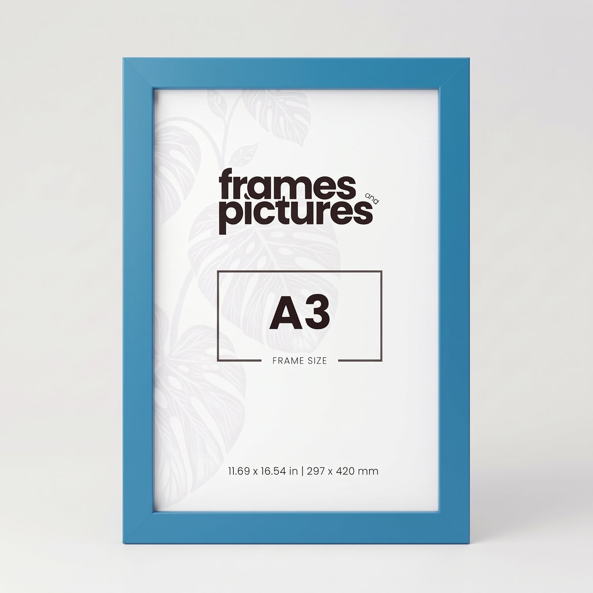 A3 Colourful Frame