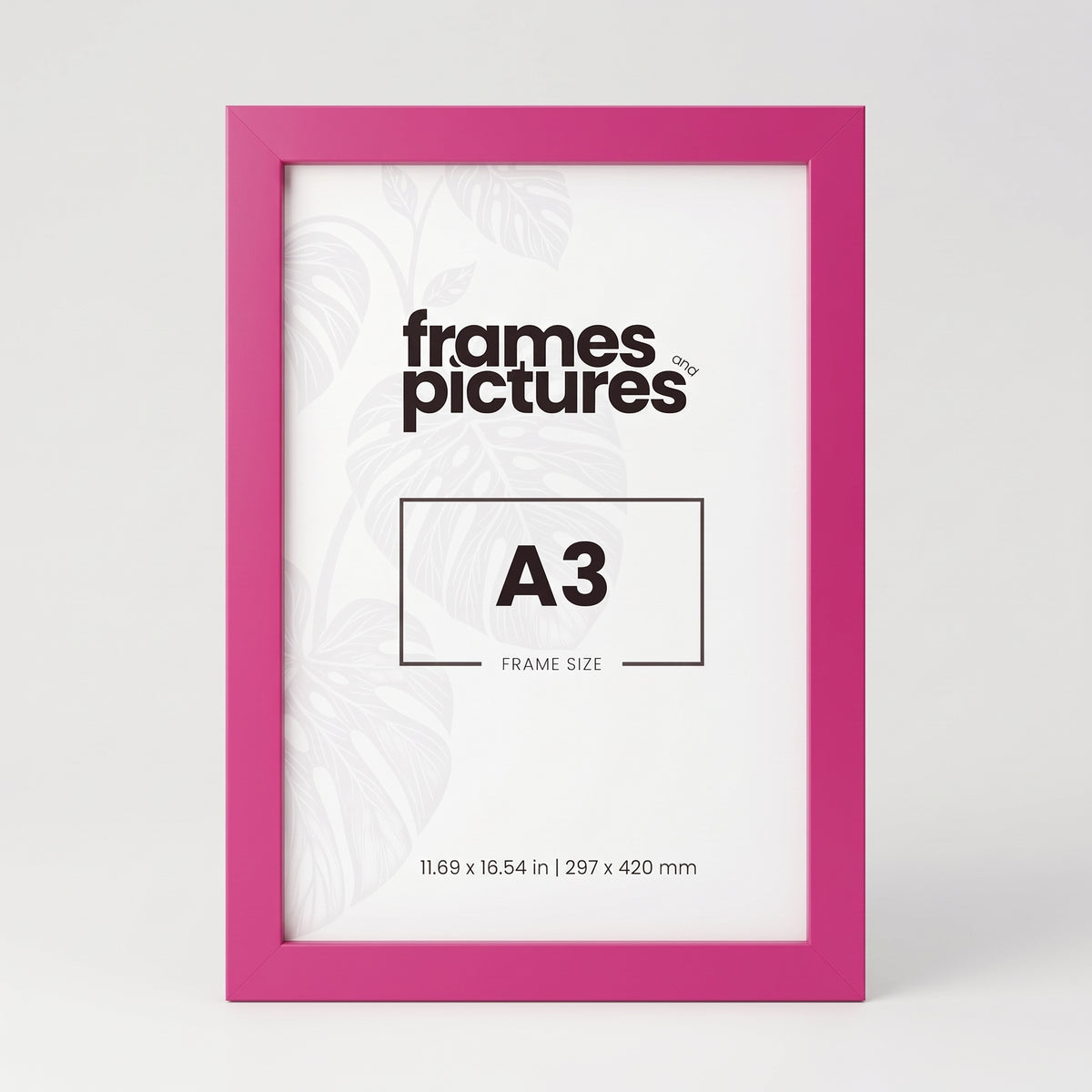 A3 Colourful Frame