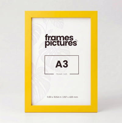 A3 Colourful Frame