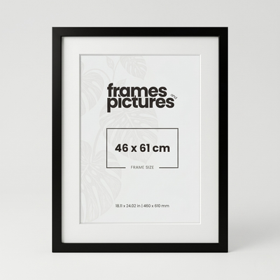 46x61 Box Frame With Aperture