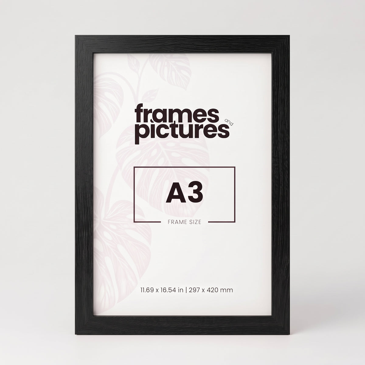 A3 Frame