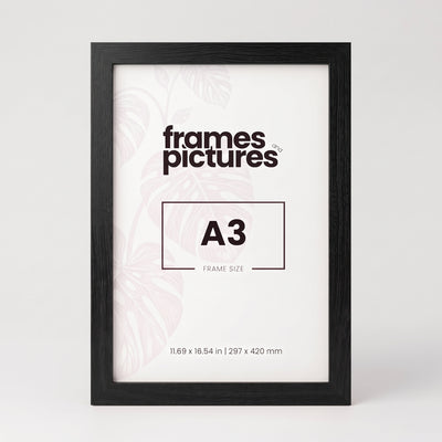 A3 Frame