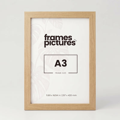 A3 Frame