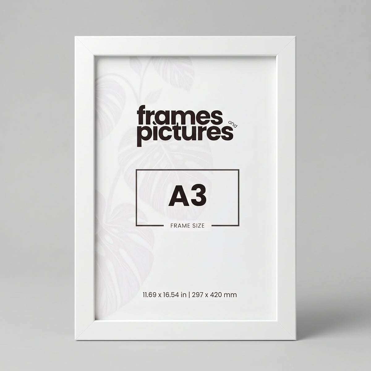 A3 Frame