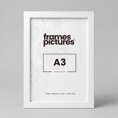 A3 Frame